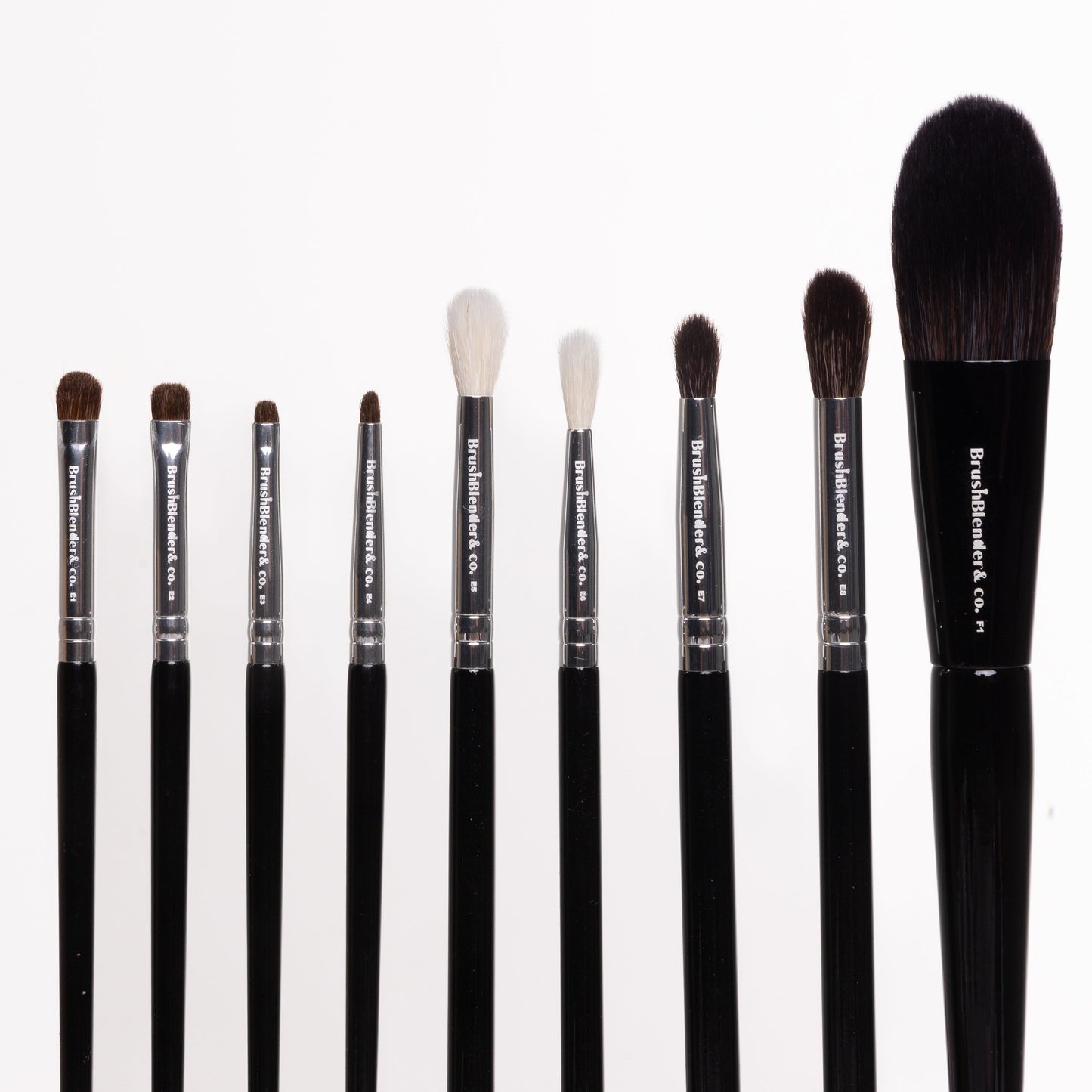 Set of makeup brushes with black handles and silver ferrules on a white background