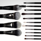 Full face set četkica