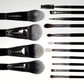 Full face set četkica
